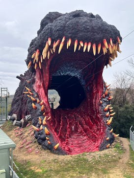 ニジゲンノモリに投稿された画像（2024/3/24）