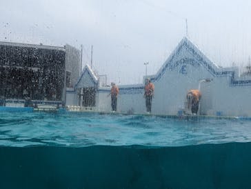 しながわ水族館に投稿された画像（2024/3/24）