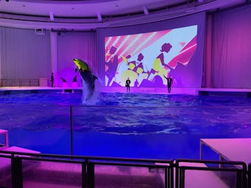 アクアワールド茨城県大洗水族館に投稿された画像（2024/3/24）