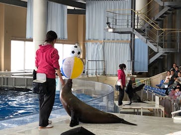 アクアワールド茨城県大洗水族館に投稿された画像（2024/3/24）