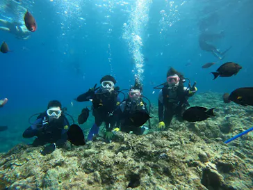 武藤潜水に投稿された画像（2024/3/24）