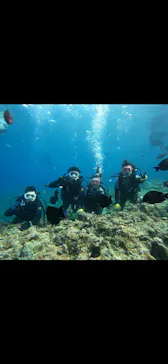 武藤潜水に投稿された画像（2024/3/24）