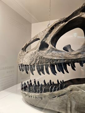 福井県立恐竜博物館に投稿された画像（2024/3/24）