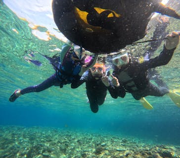 沖縄マリンサービス碧に投稿された画像（2024/3/24）