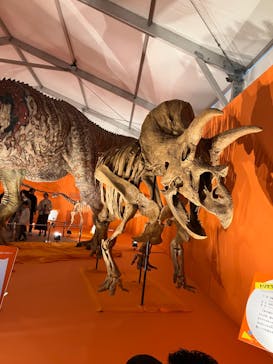 オダイバ恐竜博覧会2024 -福井から“ヤツラ”が新幹線でやってくる！-に投稿された画像（2024/3/24）