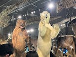 特別展「大哺乳類展３－わけてつなげて大行進」に投稿された画像（2024/3/24）