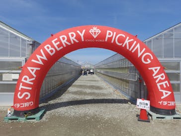 MIGAKI FARMに投稿された画像（2024/3/24）