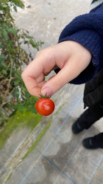 キノシタファームに投稿された画像（2024/3/24）