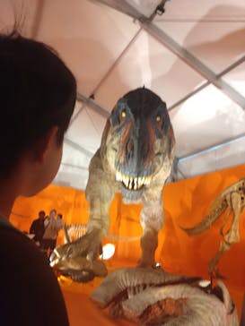 オダイバ恐竜博覧会2024 -福井から“ヤツラ”が新幹線でやってくる！-に投稿された画像（2024/3/24）