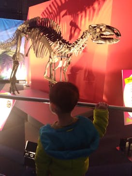 オダイバ恐竜博覧会2024 -福井から“ヤツラ”が新幹線でやってくる！-に投稿された画像（2024/3/24）