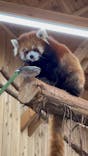 伊豆シャボテン動物公園に投稿された画像（2024/3/24）