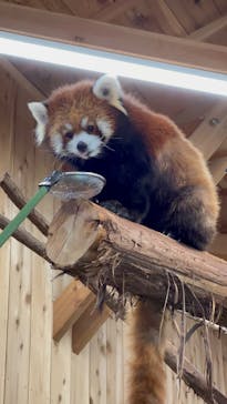 伊豆シャボテン動物公園に投稿された画像（2024/3/24）