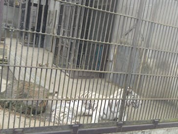 宇都宮動物園に投稿された画像（2024/3/24）