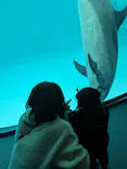 名古屋港水族館に投稿された画像（2024/3/24）