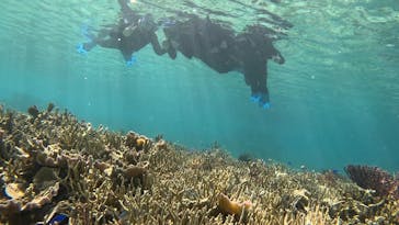 宮古島 ADVENTURE PiPi（ミヤコジマ アドベンチャー ピピ）に投稿された画像（2024/3/24）