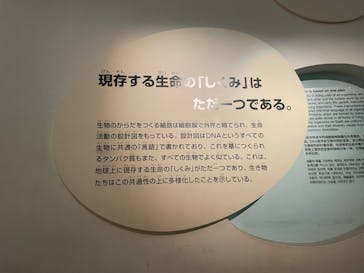 国立科学博物館に投稿された画像（2024/3/24）