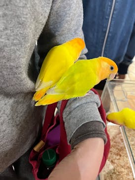 いきもの探検隊上尾に投稿された画像（2024/3/24）