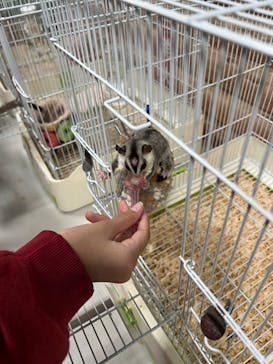 いきもの探検隊上尾に投稿された画像（2024/3/24）