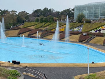 浜名湖花博2024に投稿された画像（2024/3/24）