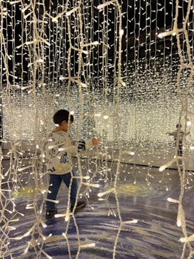 ゴッホ・アライブに投稿された画像（2024/3/24）