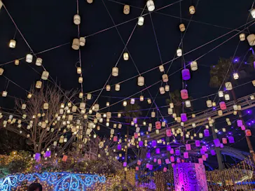 ひらかたパークに投稿された画像（2024/3/24）