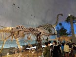 福井県立恐竜博物館に投稿された画像（2024/3/24）
