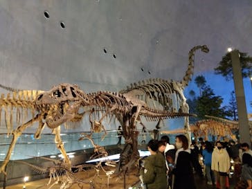 福井県立恐竜博物館に投稿された画像（2024/3/24）