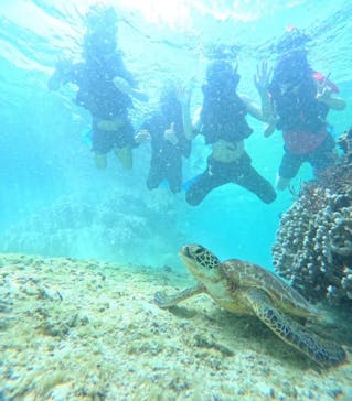 宮古島 ADVENTURE PiPi（ミヤコジマ アドベンチャー ピピ）に投稿された画像（2024/3/24）