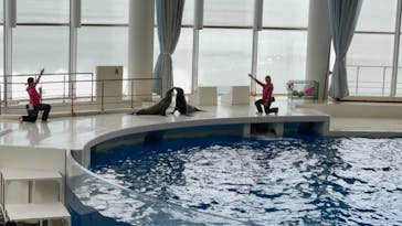 アクアワールド茨城県大洗水族館に投稿された画像（2024/3/24）