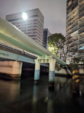 屋形船　大江戸に投稿された画像（2024/3/24）