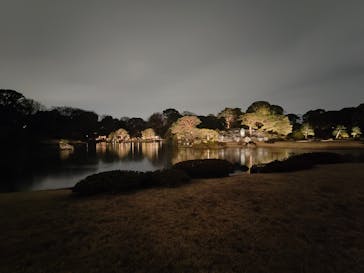 六義園に投稿された画像（2024/3/24）