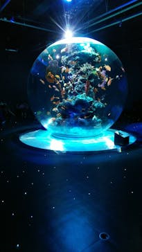 AQUARIUM × ART　atoaに投稿された画像（2024/3/24）
