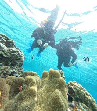 宮古島 ADVENTURE PiPi（ミヤコジマ アドベンチャー ピピ）に投稿された画像（2024/3/24）