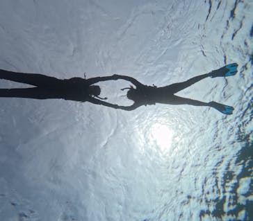 宮古島 ADVENTURE PiPi（ミヤコジマ アドベンチャー ピピ）に投稿された画像（2024/3/24）