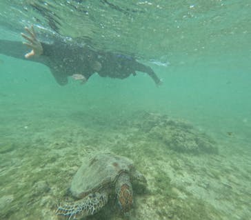 宮古島 ADVENTURE PiPi（ミヤコジマ アドベンチャー ピピ）に投稿された画像（2024/3/24）