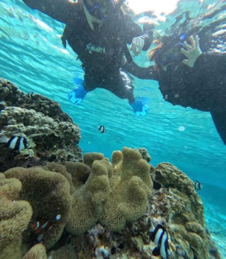 宮古島 ADVENTURE PiPi（ミヤコジマ アドベンチャー ピピ）に投稿された画像（2024/3/24）