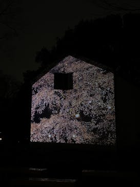 六義園に投稿された画像（2024/3/24）