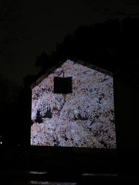 六義園に投稿された画像（2024/3/24）