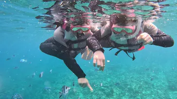 武藤潜水に投稿された画像（2024/3/24）