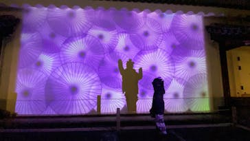 NAKED meets 二条城 2025 観月に投稿された画像（2024/3/24）