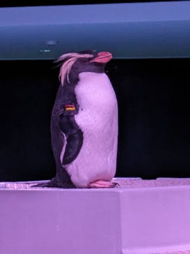 AOAO SAPPOROに投稿された画像（2024/3/24）