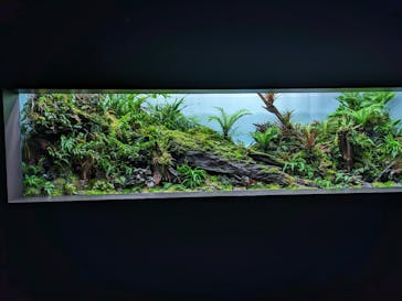 AOAO SAPPOROに投稿された画像（2024/3/24）