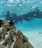 宮古島 ADVENTURE PiPi（ミヤコジマ アドベンチャー ピピ）に投稿された画像（2024/3/24）