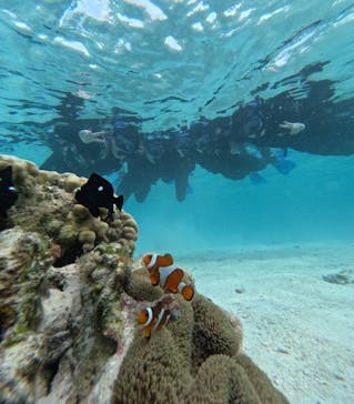 宮古島 ADVENTURE PiPi（ミヤコジマ アドベンチャー ピピ）に投稿された画像（2024/3/24）