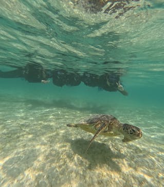 宮古島 ADVENTURE PiPi（ミヤコジマ アドベンチャー ピピ）に投稿された画像（2024/3/24）