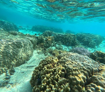 宮古島 ADVENTURE PiPi（ミヤコジマ アドベンチャー ピピ）に投稿された画像（2024/3/24）