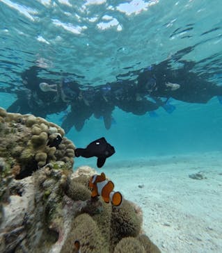 宮古島 ADVENTURE PiPi（ミヤコジマ アドベンチャー ピピ）に投稿された画像（2024/3/24）