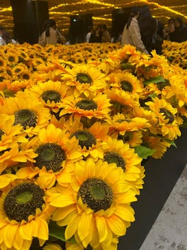 ゴッホ・アライブに投稿された画像（2024/3/24）