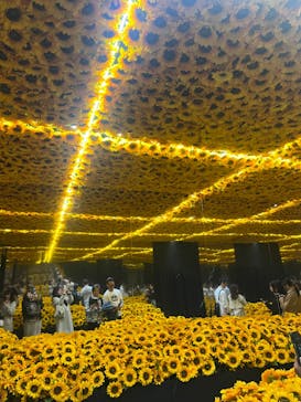 ゴッホ・アライブに投稿された画像（2024/3/24）