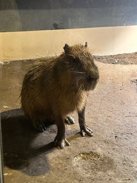 マクセル アクアパーク品川に投稿された画像（2024/3/24）